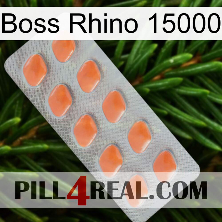 Boss Rhino 15000 26